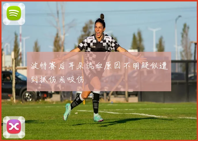 波特赛后耳朵流血原因不明疑似遭到抓伤或咬伤
