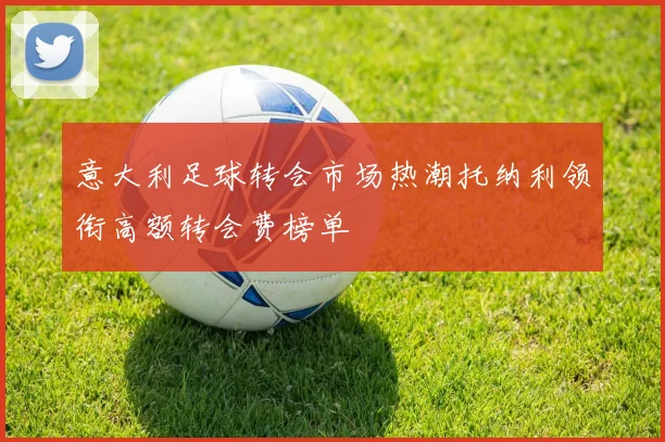 意大利足球转会市场热潮托纳利领衔高额转会费榜单
